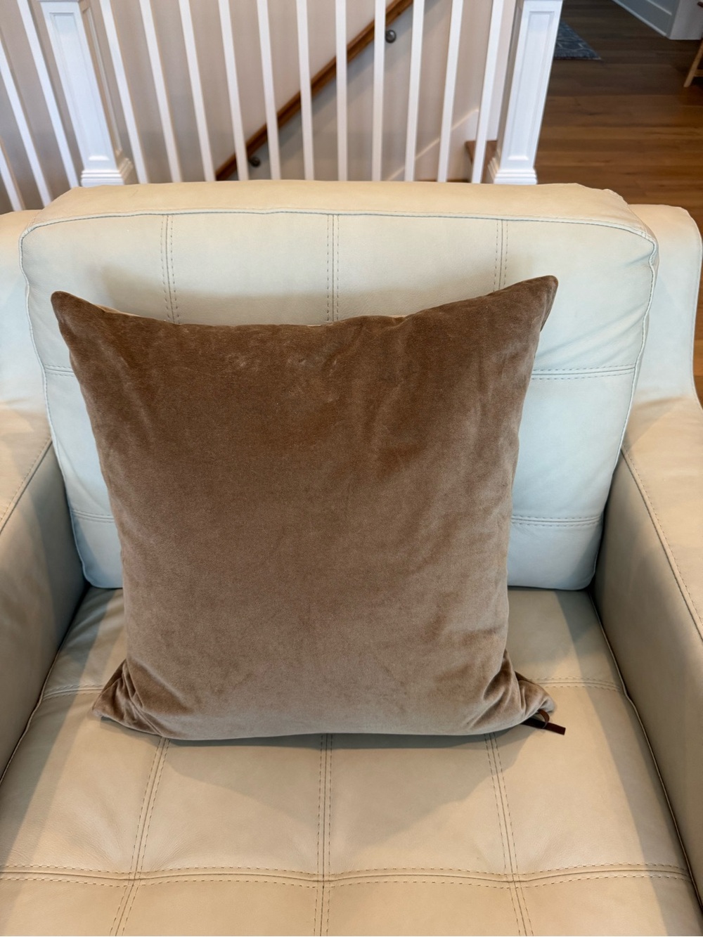 Pottery Barn Soft Brown Velvet Throw Pillow 20x20 cover only